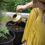 Carol Meyer Crochet's Yellow and Cream