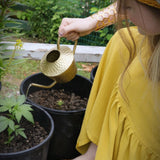 Carol Meyer Crochet's Yellow and Cream